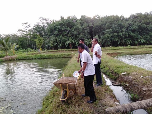 Dinas Perikanan Melakukan Monitoring Kelompok Budidaya Ikan POKDAKAN Makmur Kampung Way Agung Kecamatan Buay Bahuga “Budidaya Ikan Sangat Menjanjikan”.