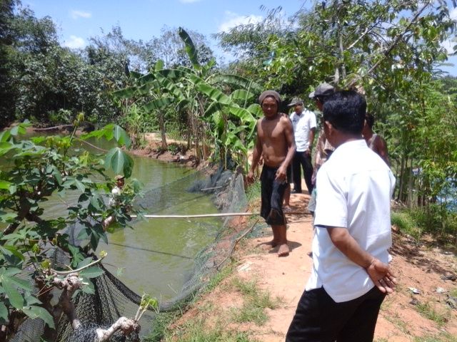 Panen Raya Kelompok Budidaya Ikan POKDAKAN, Kampung Way Pisang Kecamatan Way Tuba